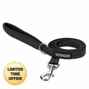 Voyager Reflective Dog Leash with Neoprene Handle