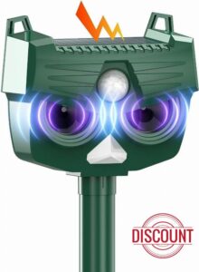 Cat Repellent Garden