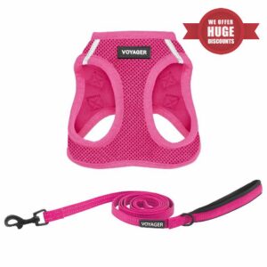 Best Pet Supplies Voyager Step-in Air All Weather Mesh Harness and Reflective Dog 5 ft Leash Combo with Neoprene Handle