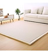 SETHEPACE Ultra-Soft Short Pile Rugs Living Room, Non Slip Backing, Non Shedding Area Rugs for Be...