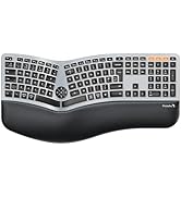 ProtoArc Ergonomic Office Chair - Flexer Nylon Breathable Mesh Chair (Flexer Pro-Black)